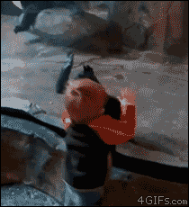 460.gif 460.gif